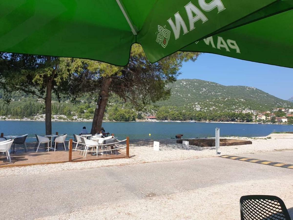Apartment Sea Bass Neretva 普洛切 外观 照片
